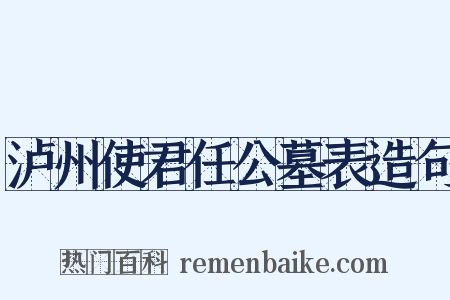 泸州使君任公墓表造句是什么意思的图片